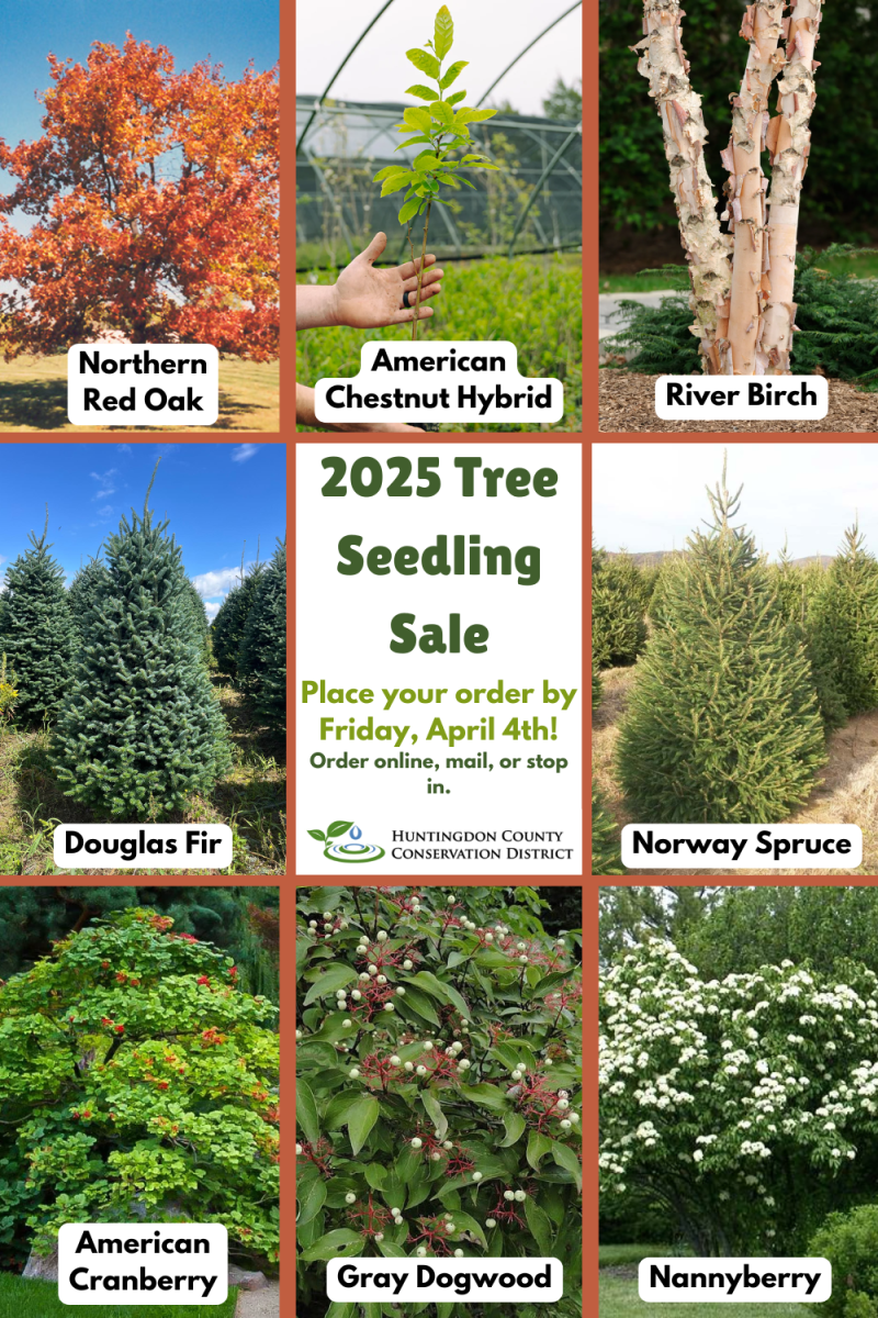 Tree/Seedling Sales Huntingdon County Conservation District